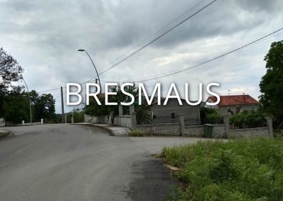 bresmaus-1